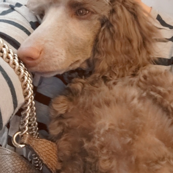 Meet your Posher, Sheri - Picture 5 of 6